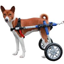 walkin wheels dog wheelchair vet