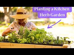 Kitchen Herb Garden In A Raised Bed