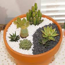 Creative Container Gardens With
