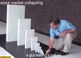 Artificially boosts gamestop shares to hurt hedge fund investors. A Guy Eating A Bat Leads To Stock Market Collapsing Domino Effect Starecat Com