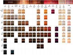 Schwarzkopf Igora Royal Hair Color Chart Sbiroregon Org