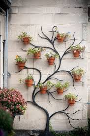 Plants On Walls As Decor Backdrops