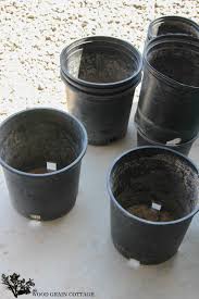 concrete flower planter pots