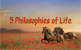 Image result for philosophy of life