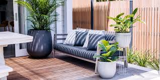 Brisbane S Best Designer Pot Suppliers