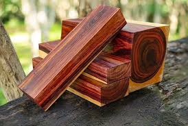 what is the most expensive wood in the
