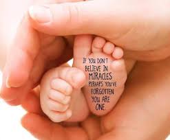 If you don't believe in miracles | Amy Rees Anderson's Blog