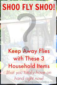 How To Keep Flies Away With 3 Things
