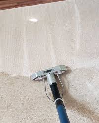 professional carpet cleaners kansas