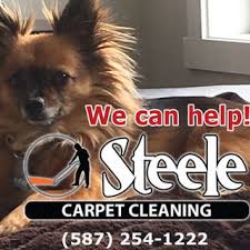 steele carpet cleaning project photos