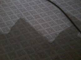jansen upholstery carpet cleaning