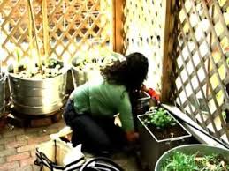 Drip Irrigation For Container Gardening