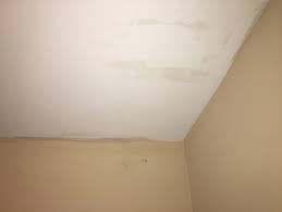 Mold On Walls Removal Protocol