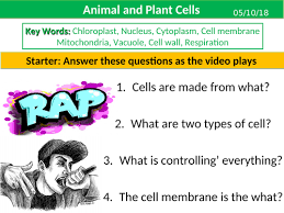 Cell division, both in plants and animal cells, can be divided into two types: Plant And Animal Cells Ks3 Teaching Resources