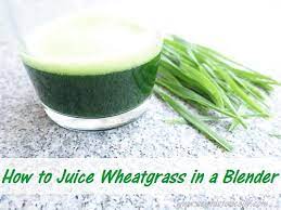 how to juice wheatgr in a blender