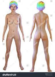 3d Rendering Nude Woman Front Back Stock Illustration 686149324 |  Shutterstock