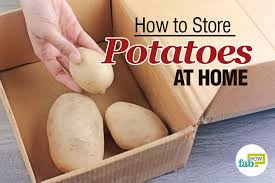 How To Potatoes To Keep Them