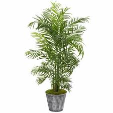 Areca Palm Tree In Planter Uv Resistant