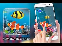 aquarium fish live wallpaper 2019 koi