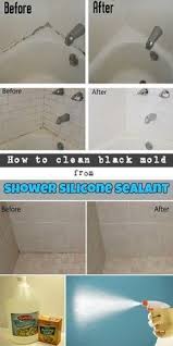 black mold from shower silicone sealant