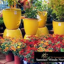 Armstrong Garden Centers San Anselmo