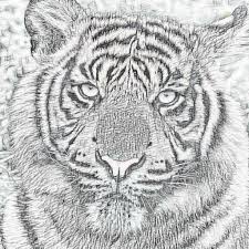You can use the filters to sort the classes by skill level or subject. Amazon Com Pencil Drawing Art App Offline Learn To Draw Appstore For Android