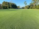 Blue Cypress Golf Course | Golf Courses Jacksonville, Florida