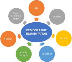 demographic segmentation meaning