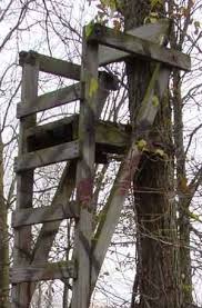 Follow zach bowhay and his hunting friends and family into the. 20 Free Diy Deer Stand Plans And Ideas Perfect For Hunting Season