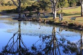 mount annan botanic garden sydney