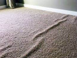 moser carpet repairs carpet