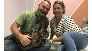 Start your adoption journey online or at a petsmart near you and give a pet in need the loving home they. Chunky Cat Named Lasagna Gets A Home After Philadelphia Shelter S Call For Help New Owners Get Lasagna Of Course Nbc10 Philadelphia