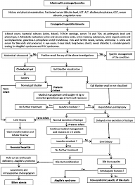 Flow Chart For The Management Of The Neonatal Cholestasis In