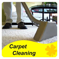 carpet cleaning limpo op 800x800 jpg