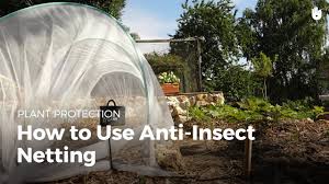 how to use anti insect netting you