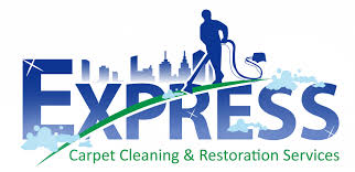 upholstery cleaning service express
