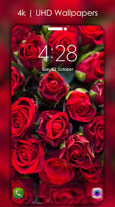 flowers wallpapers 4k uhd for android