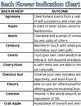 Free Literature Bach Flower Indication Chart