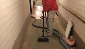 low moisture carpet cleaning in