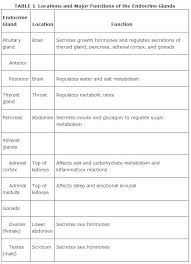 Endocrine System