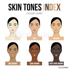 Skin Color Index Infographic In Vector Beautiful Woman Face