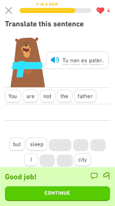 The Duolingo bear was quite happy with this one : r/latin