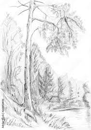 forest pencil sketch stock