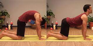 posture of the month cat cow pose