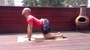 It stretches the back torso and neck, and softly stimulates and strengthens the abdominal organs. Paradiso Crossfit Cat Cow Stretch Youtube
