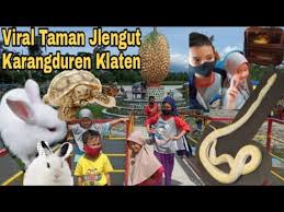 Kebun binatang bandung is a 14 ha zoo located in the city of bandung in west java, indonesia known for its mistreatment and abuse of the animals that reside there. Taman Jlengut Karangduren Viral Wisata Kebonarum Klaten Youtube