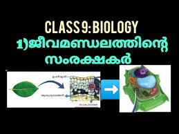An invigorating and competitive atmosphere, adequate exposure and sound guidance by a dedicated. Biologyscert Schooltext Psc Standard 9 Biology Chapter 1 Protectors Of Biosphere Malayalam Youtube