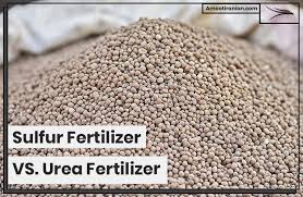 sulfur fertilizer vs urea fertilizer