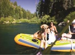 top 10 dog friendly lodgings at tahoe