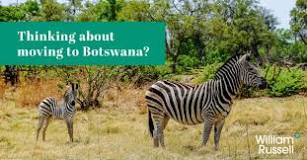 Image result for How Much do you Need to Live in Botswana